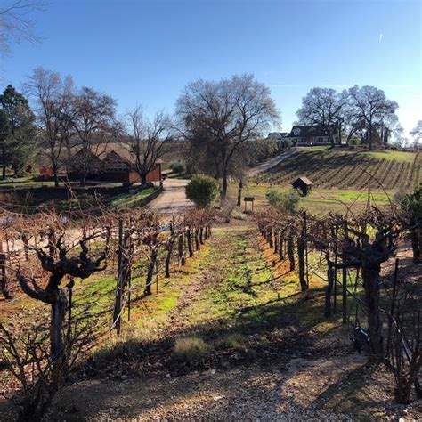 Young's Vineyards .